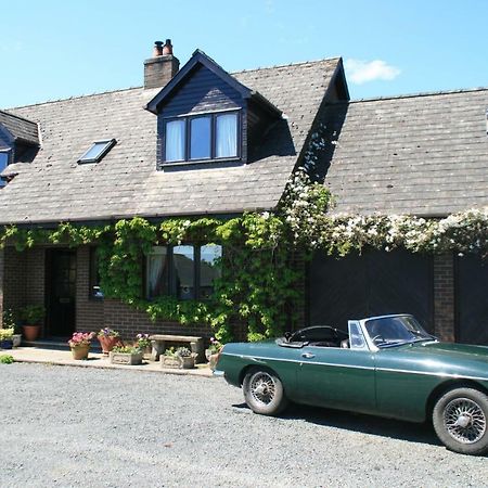 Ty Carreg Bed & Breakfast Llanwrtyd Wells Екстериор снимка