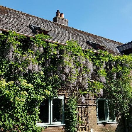 Ty Carreg Bed & Breakfast Llanwrtyd Wells Екстериор снимка