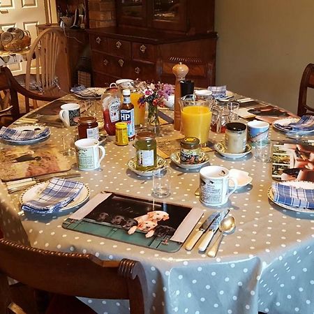 Ty Carreg Bed & Breakfast Llanwrtyd Wells Екстериор снимка