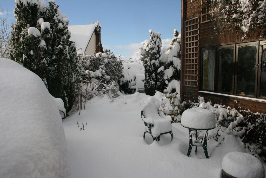 Ty Carreg Bed & Breakfast Llanwrtyd Wells Екстериор снимка