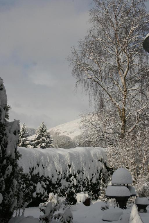 Ty Carreg Bed & Breakfast Llanwrtyd Wells Екстериор снимка