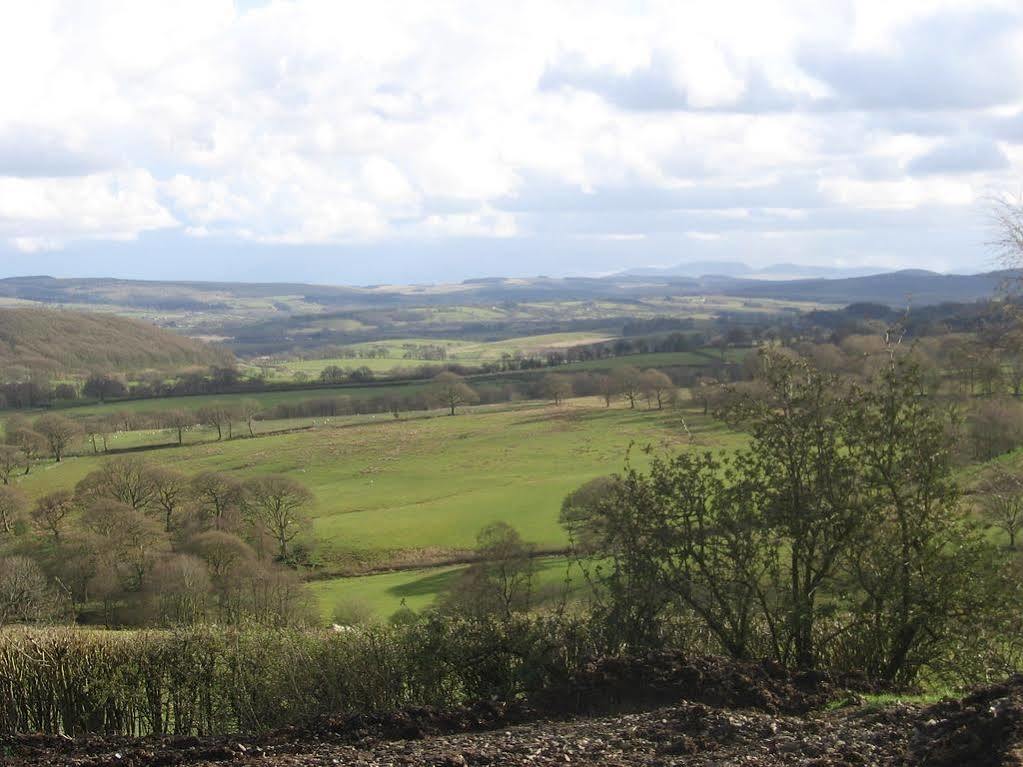 Ty Carreg Bed & Breakfast Llanwrtyd Wells Екстериор снимка