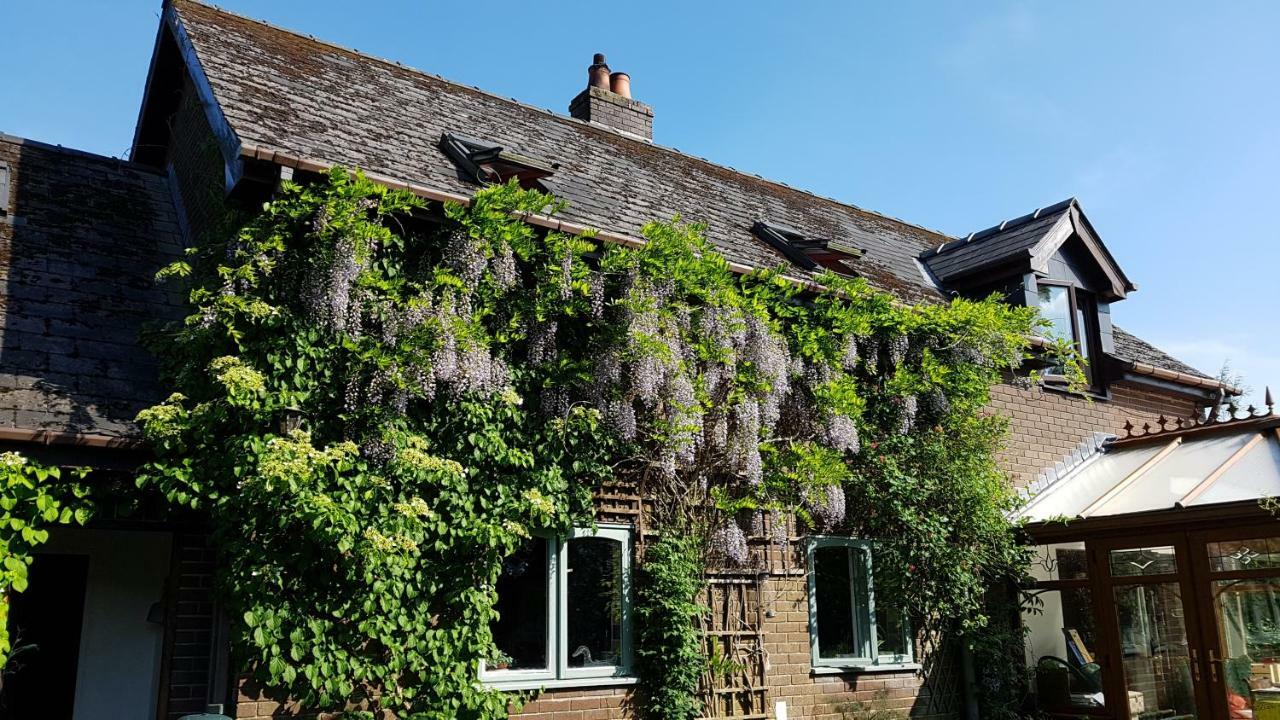 Ty Carreg Bed & Breakfast Llanwrtyd Wells Екстериор снимка